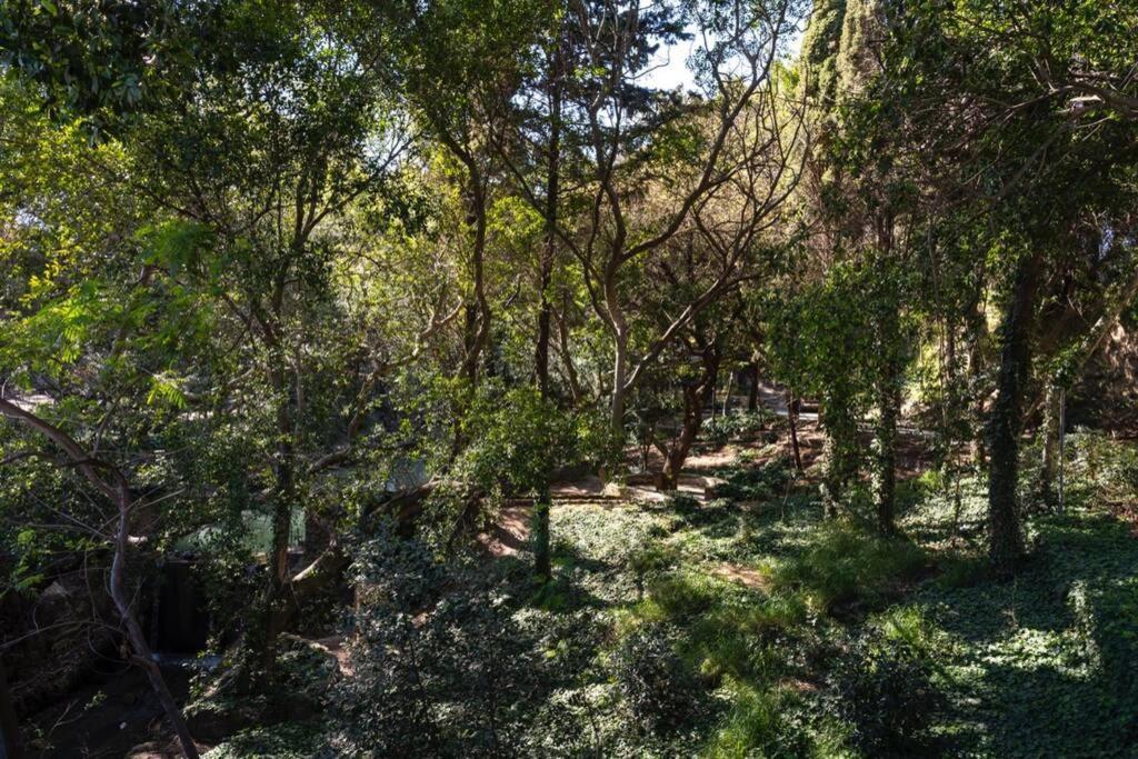 Rodini Park Leilighet
