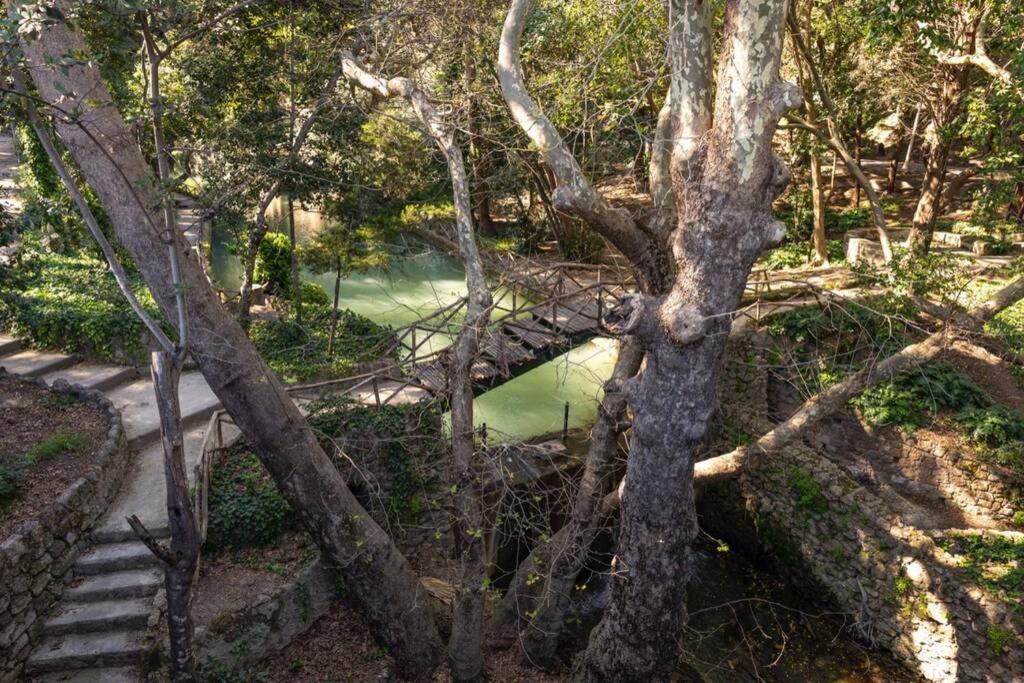 Rodini Park Leilighet