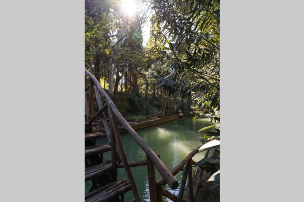 Rodini Park * Rhodes City