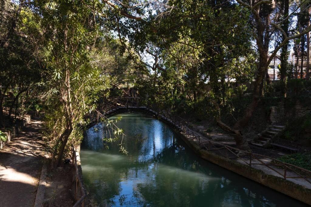 Rodini Park *